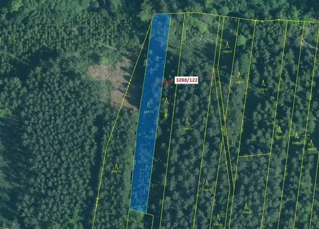 Dražba lesa, Hosty, 1942 m2