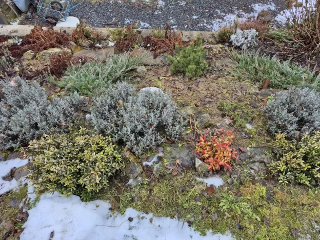 Prodej chaty, Struhařov, 40 m2