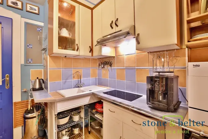 Pronájem bytu 1+1, Praha - Košíře, Mahenova, 49 m2