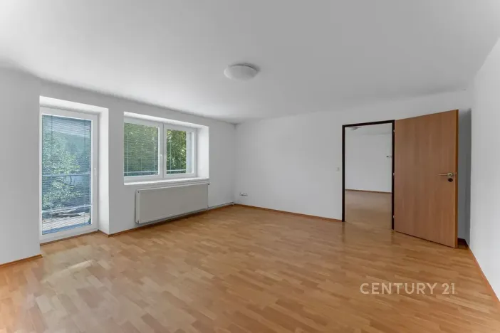 Prodej vícegeneračního domu, Kamýk nad Vltavou, 320 m2