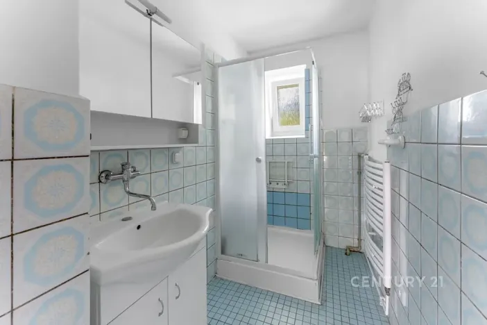 Prodej vícegeneračního domu, Kamýk nad Vltavou, 320 m2