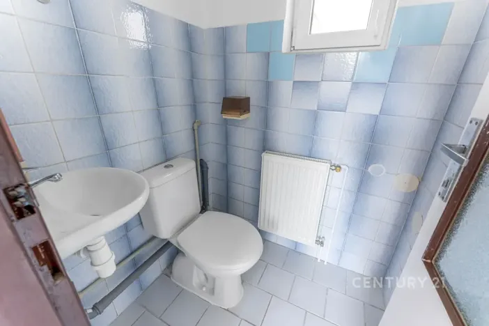 Prodej vícegeneračního domu, Kamýk nad Vltavou, 320 m2