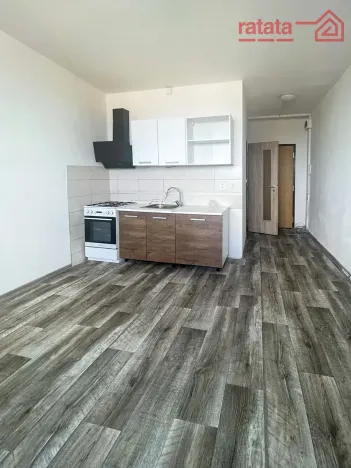 Pronájem bytu 1+1, Jirkov, Krušnohorská, 33 m2