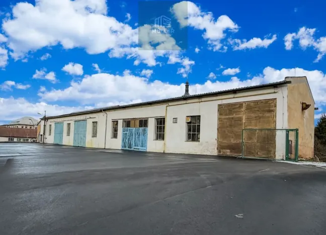 Pronájem komerční nemovitosti, Blovice, 790 m2