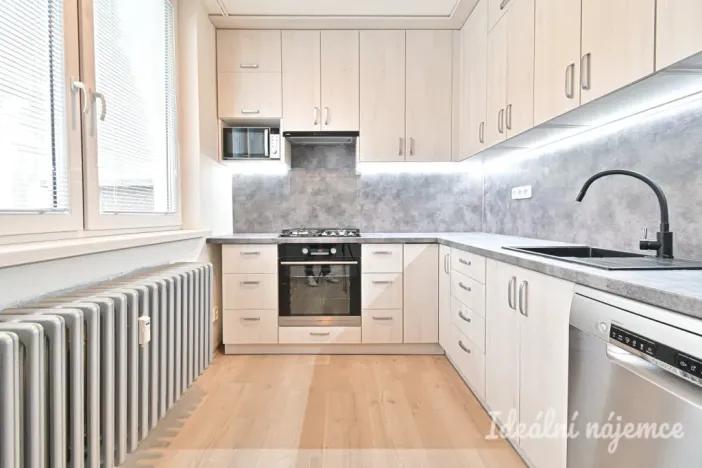 Pronájem bytu 1+1, Vyškov - Vyškov-Předměstí, Trpínky, 41 m2