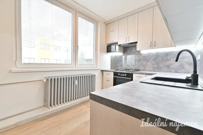 Pronájem bytu 1+1, Vyškov - Vyškov-Předměstí, Trpínky, 41 m2