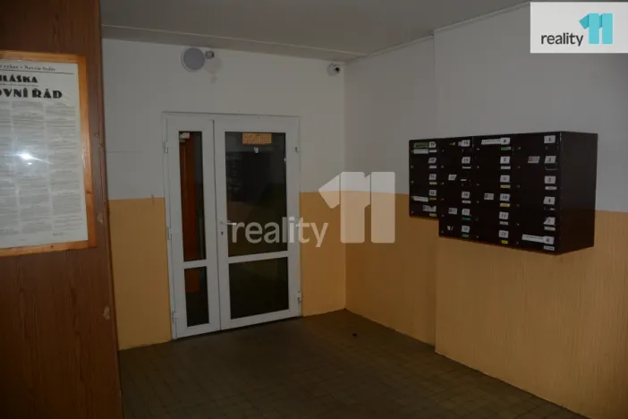 Pronájem bytu 1+kk, Nové Sedlo, Revoluční, 19 m2