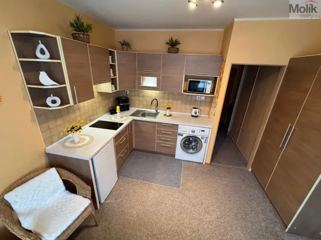 Pronájem bytu 1+1, Most, Marš. Rybalka, 35 m2