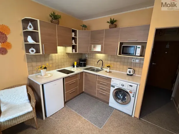 Pronájem bytu 1+1, Most, Marš. Rybalka, 35 m2