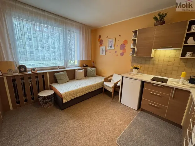 Pronájem bytu 1+1, Most, Marš. Rybalka, 35 m2