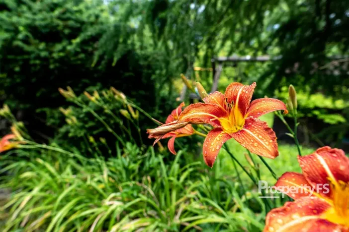 Prodej chaty, Děčín - Děčín VII-Chrochvice, Mendelova, 17 m2