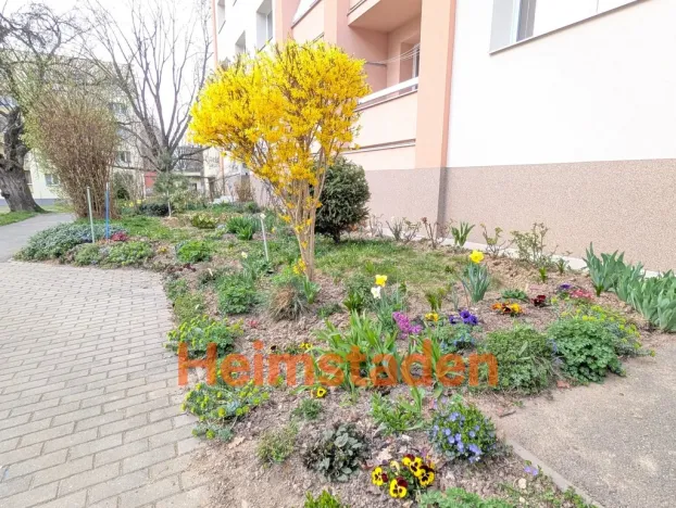 Pronájem bytu 2+1, Havířov - Město, Matuškova, 54 m2