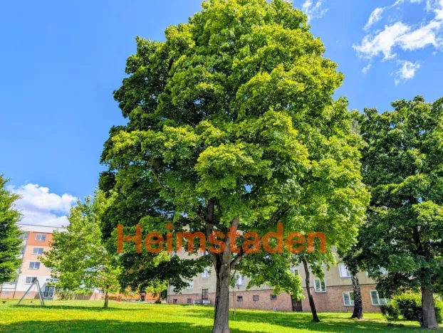 Pronájem bytu 3+1, Havířov - Město, Jožky Jabůrkové, 60 m2