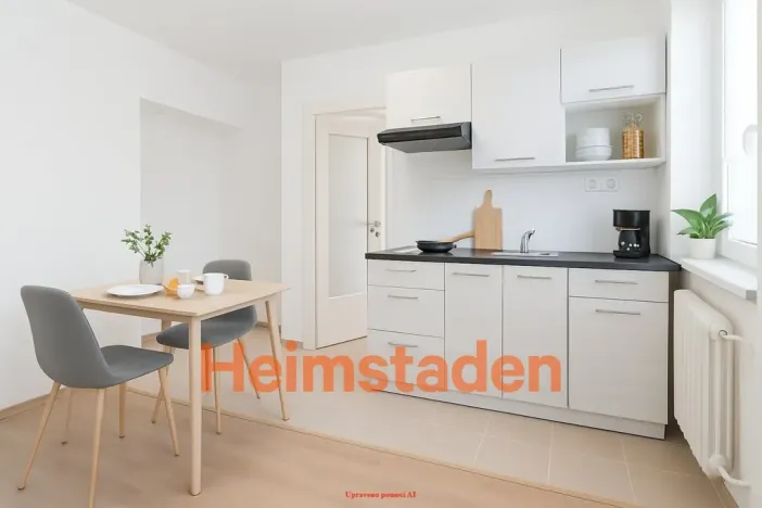 Pronájem bytu 1+kk, Havířov - Šumbark, U Nádraží, 29 m2