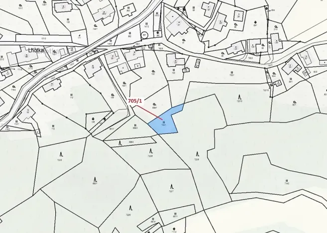 Dražba louky, Zlatá Olešnice, 438 m2