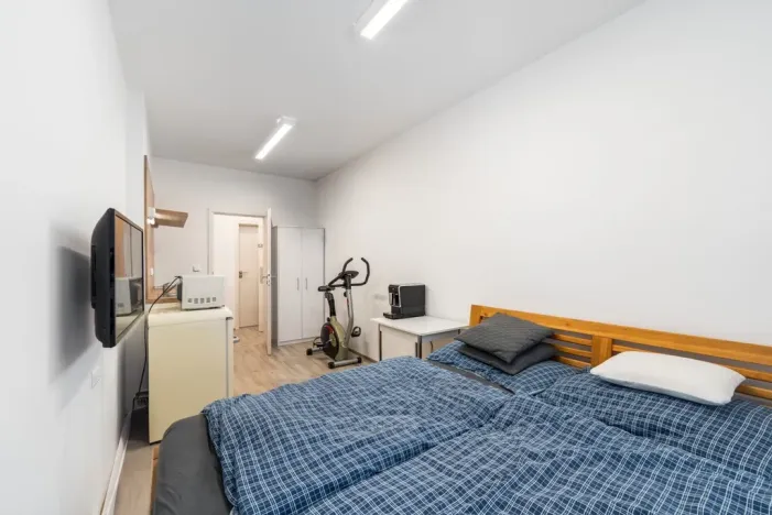 Prodej bytu 1+kk, České Budějovice - České Budějovice 3, Skuherského, 23 m2