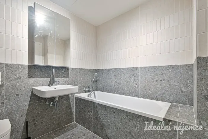 Pronájem bytu 1+kk, Brno, Bratislavská, 40 m2