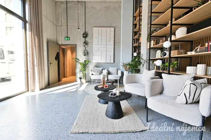 Pronájem bytu 1+kk, Brno, Bratislavská, 40 m2