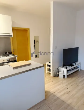 Pronájem bytu 2+kk, Praha, Sekaninova, 50 m2