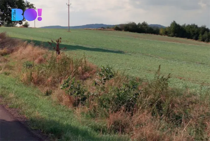 Prodej pole, Osvětimany, 8221 m2