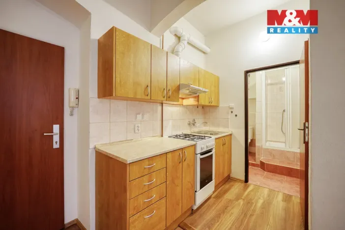 Pronájem bytu 2+kk, Plzeň - Východní Předměstí, Koterovská, 33 m2