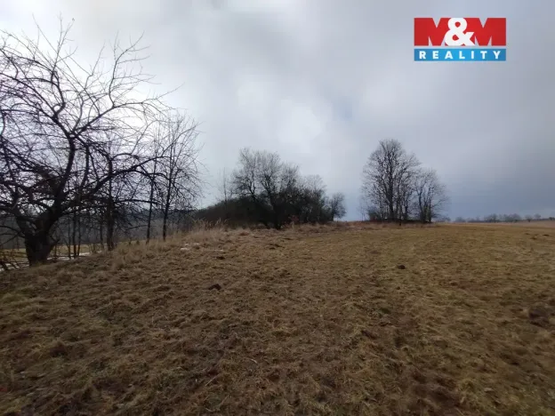 Prodej louky, Budišov nad Budišovkou, 6470 m2