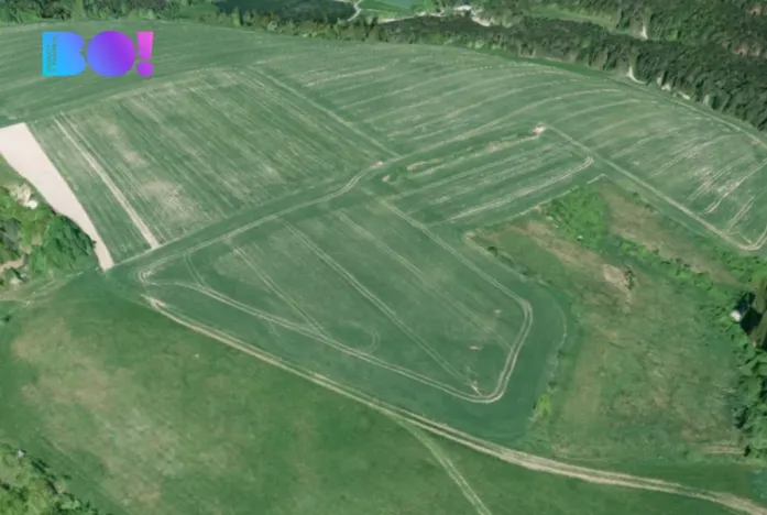 Prodej pole, Kunštát, 16985 m2