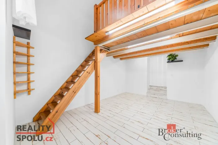 Prodej bytu 3+kk, Praha - Vinohrady, Bělehradská, 60 m2