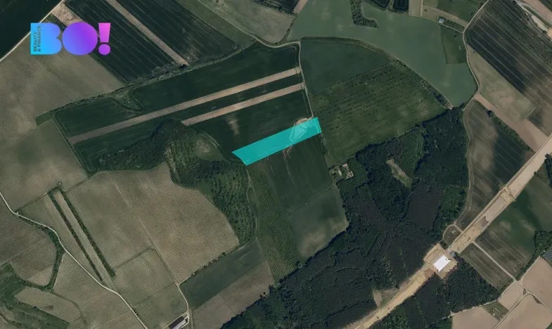 Prodej pole, Bzenec, 20148 m2