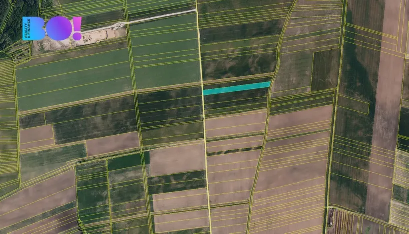 Prodej pole, Přibice, 9400 m2