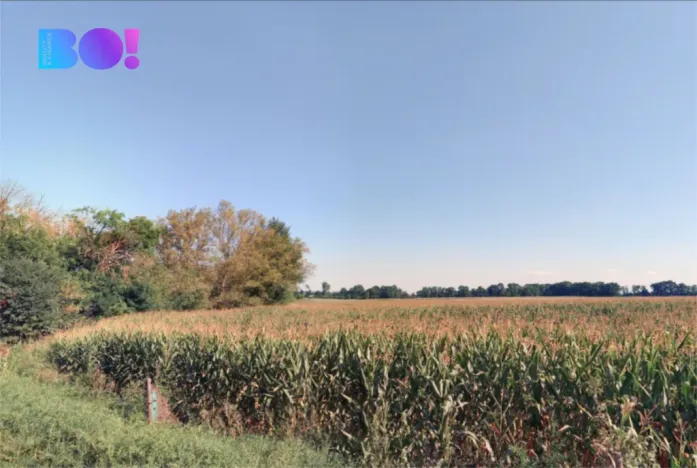 Prodej pole, Josefov, 9970 m2