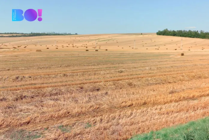 Prodej pole, Ořechov, 10874 m2