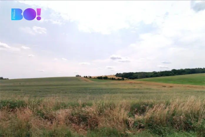 Prodej pole, Kudlovice, 5104 m2