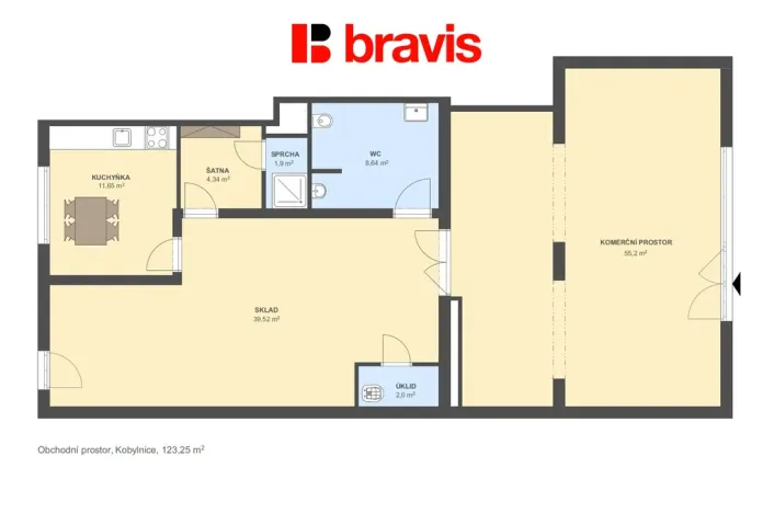 Pronájem obchodního prostoru, Kobylnice, U Řempa, 124 m2