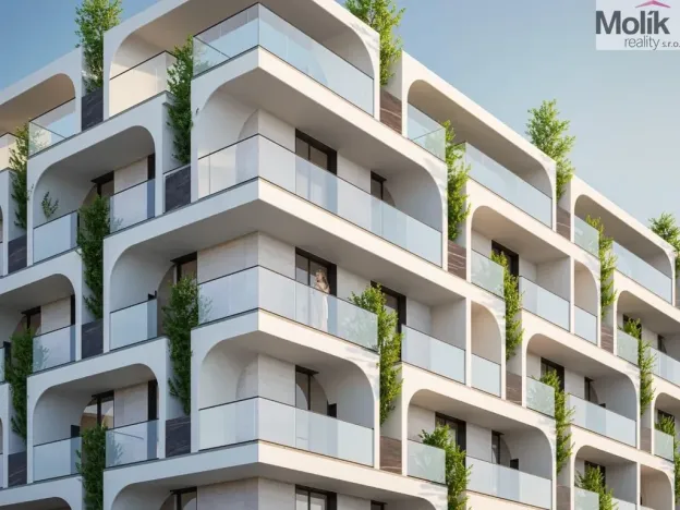 Prodej bytu 2+kk, Golem, 54 m2