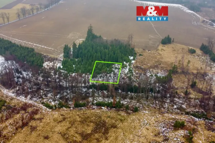Prodej lesa, Česká Bělá, 1126 m2
