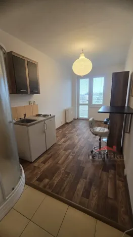 Pronájem bytu 1+kk, Opava - Předměstí, Haškova, 14 m2