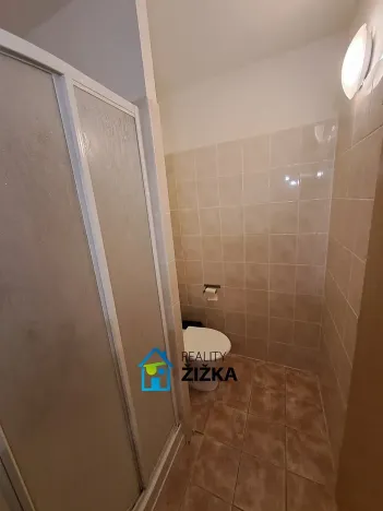 Pronájem bytu 1+kk, Brno, třída Generála Píky, 24 m2