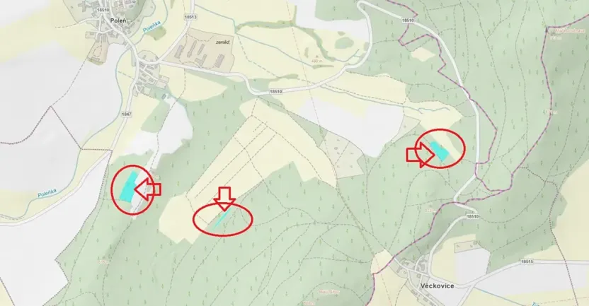 Prodej lesa, Poleň, 11901 m2