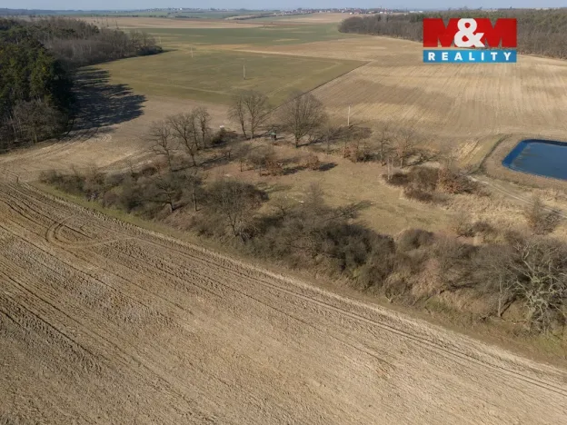 Prodej lesa, Tuřice, 7985 m2