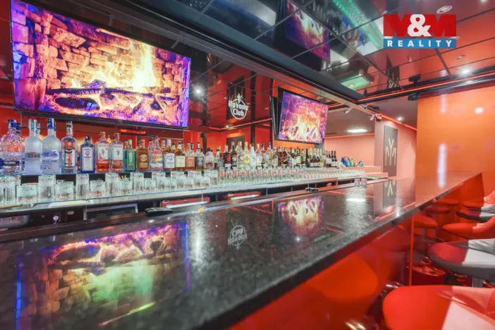 Pronájem obchodního prostoru, Plzeň - Východní Předměstí, Americká, 208 m2