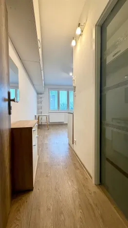 Prodej bytu 2+kk, Cheb, Lomená, 35 m2