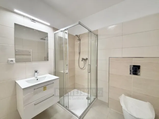 Pronájem bytu 2+kk, České Budějovice - České Budějovice 3, Riegrova, 52 m2