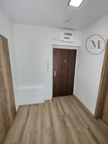 Pronájem bytu 1+kk, České Budějovice, Dobrovodská, 41 m2