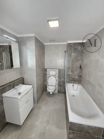 Pronájem bytu 1+kk, České Budějovice, Dobrovodská, 41 m2