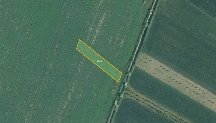 Prodej pole, Nesvačilka, 19558 m2