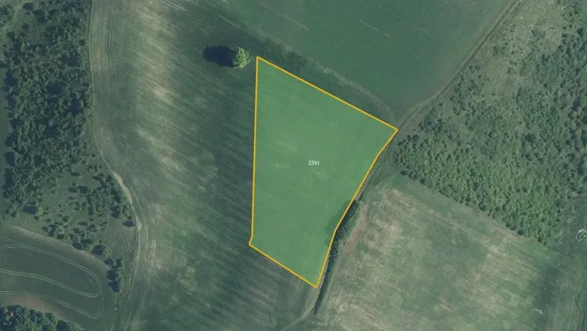 Prodej pole, Pouzdřany, 17410 m2