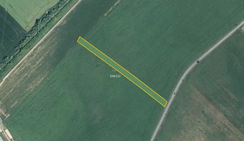 Prodej pole, Skoronice, 5446 m2