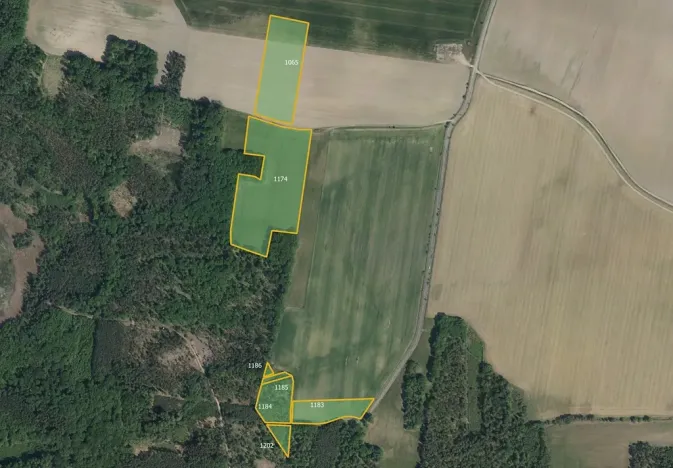 Prodej pole, Vlčí Habřina, 19647 m2