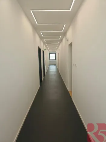 Pronájem bytu 2+kk, Plzeň - Východní Předměstí, Sladová, 55 m2